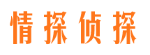 宁国侦探公司